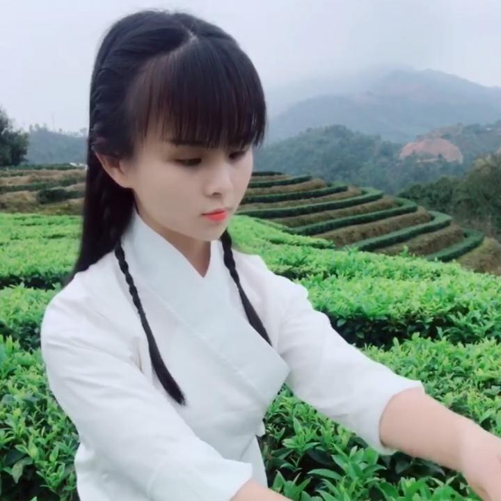 抖音茶娟儿头像